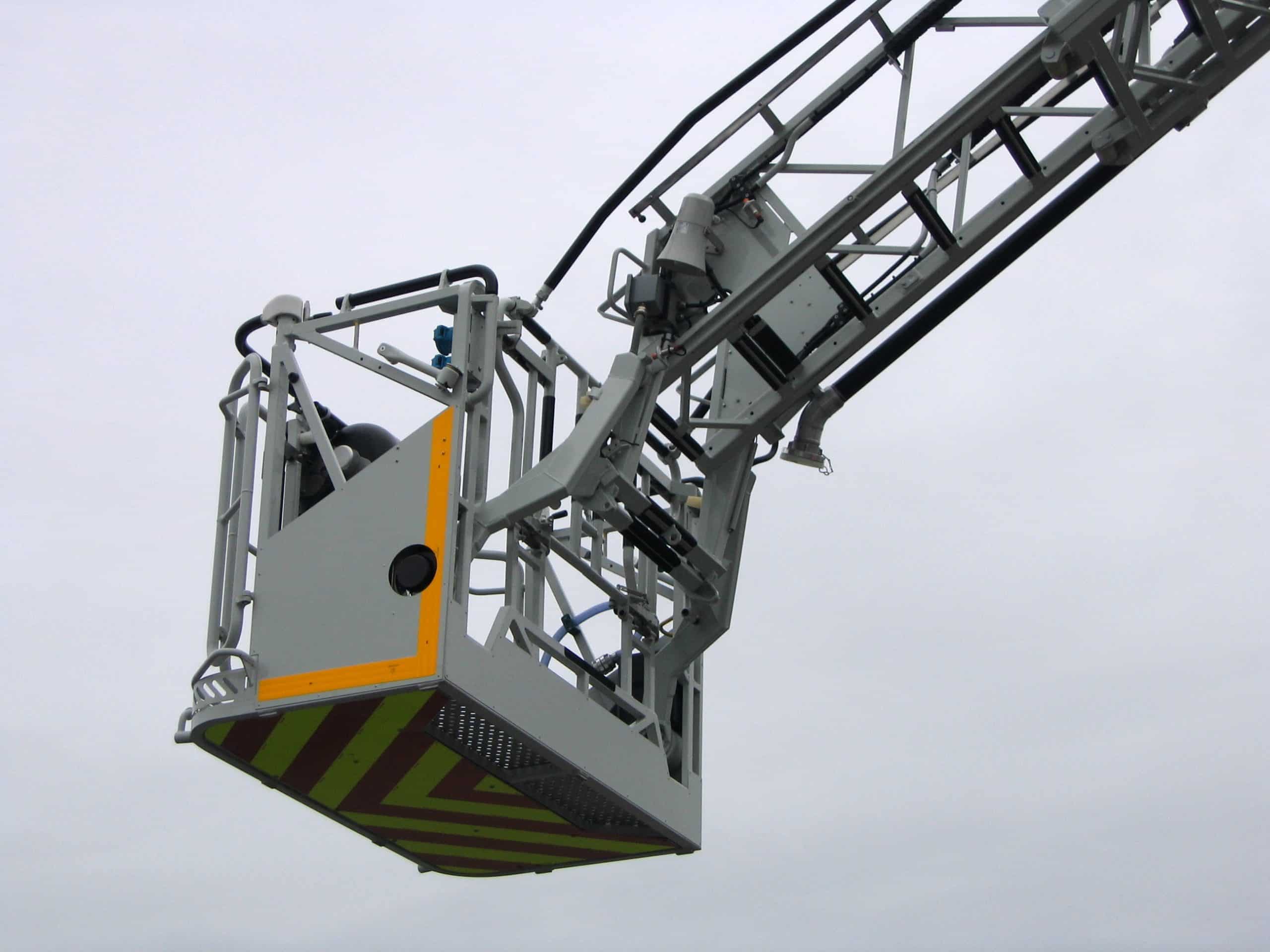 Nid de frelons asiatiques en hauteur dans un arbre nécessitant intervention nacelle