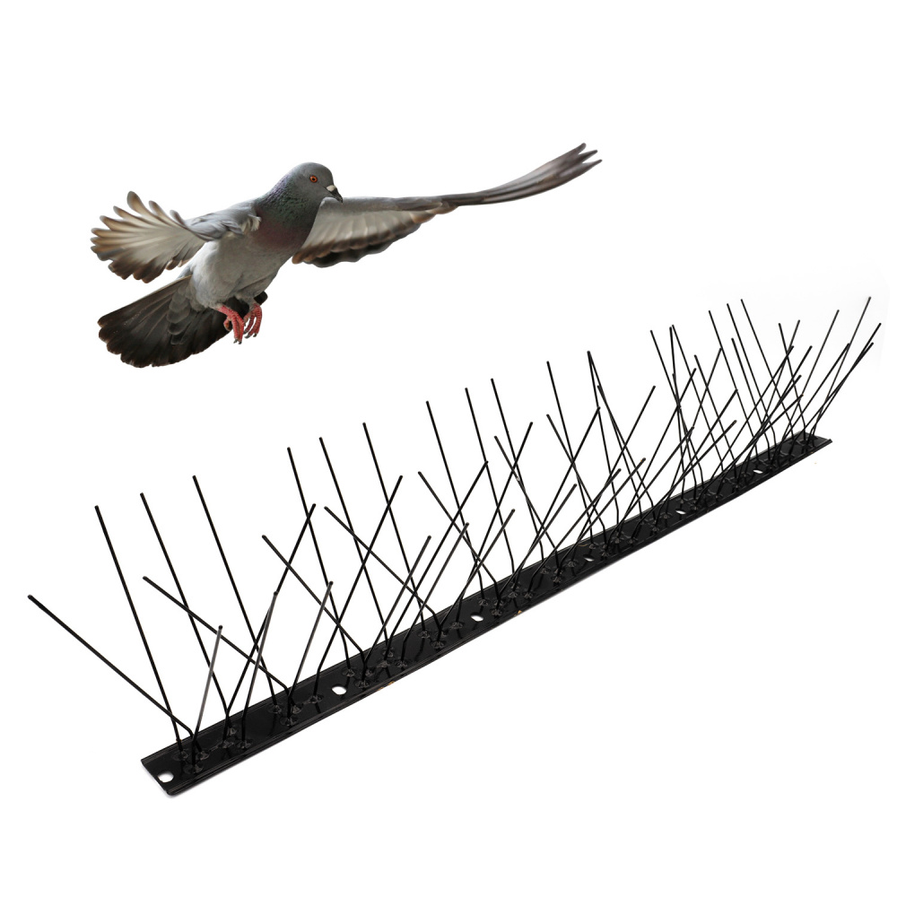 Pics anti-pigeons professionnels en acier inoxydable pour façades