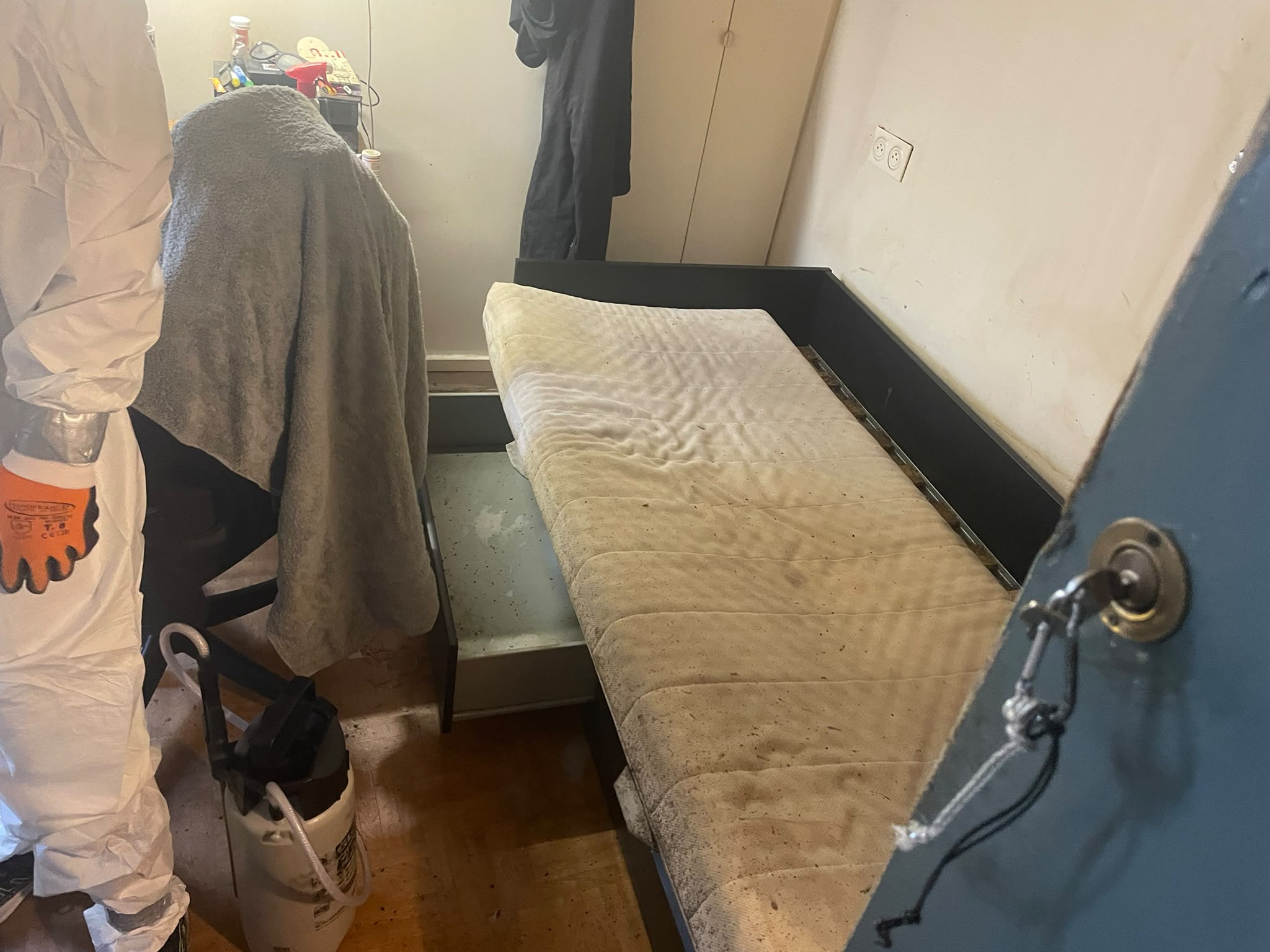 Pulvérisation d'insecticide professionnel sur un matelas et sommier infestés de punaises de lit