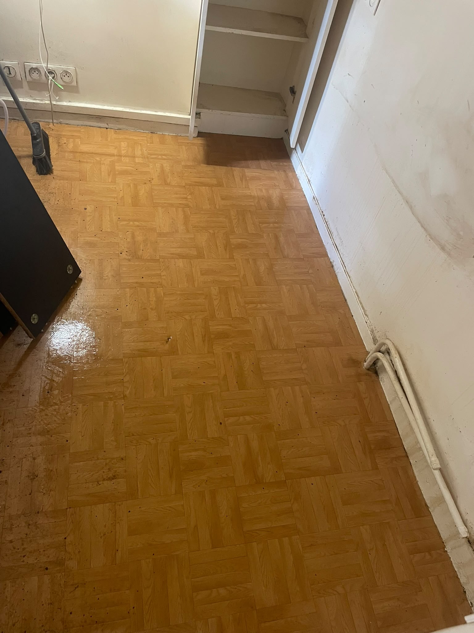 Parquet nettoyé après traitement professionnel contre les punaises de lit